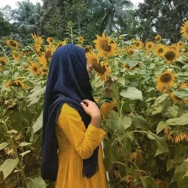MS Sanji, Gaibandha